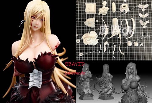 Modellino kit kizumonogatari - kit,